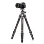 Штатив Benro TTOR35CGX35 Tortoise 1701286644