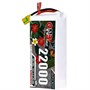 Аккумулятор GNB 22000mAh 6S 22.2V 40C 1347729172
