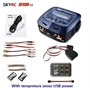 Зарядное устройство SKYRC D100 V2 1910378204