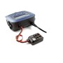 Зарядное устройство SKYRC D100 V2 1910378204