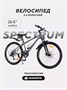 Велосипед 2-колесный Rant Spectrum 24" графит 843764623
