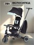 Велосипед 3-колесный Mowbaby Trixie Black-green 1203792643