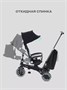 Велосипед 3-колесный Mowbaby Trixie Black-green 1203792643