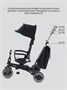 Велосипед 3-колесный Mowbaby Trixie Black-green 1203792643