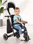 Велосипед 3-колесный Mowbaby Trixie Black-green 1203792643