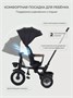 Велосипед 3-колесный Mowbaby Rodeo Black 359035529