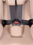 Автокресло Rant Basic Twist Pro Isofix 0/1/2/3 (0-36 кг) Beige 705042500