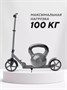 Самокат 2-колесный Mowbaby Prisma Grey 61490721