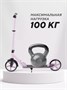 Самокат 2-колесный Mowbaby Prisma Lily 906195202