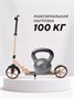 Самокат 2-колесный Mowbaby Prisma Cream 1739003088