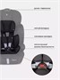 Автокресло Rant Basic Spark 1/2/3 (9-36 кг) Black 1034599712