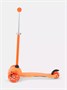 Самокат 3-колесный Rant Jetty Orange 1125919963