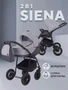 Коляска 2 в 1 Rant Siena 2024 02 темно-серый - светло-серый 1145723574
