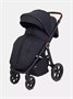 Коляска прогулочная Mowbaby Trail 2025 Black 2005664943