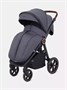 Коляска прогулочная Mowbaby Trail 2025 Graphite 1572978136