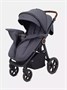 Коляска прогулочная Mowbaby Trail 2025 Graphite 1572978136