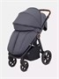 Коляска прогулочная Mowbaby Trail 2025 Graphite 1572978136
