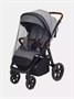 Коляска прогулочная Mowbaby Trail 2025 Graphite 1572978136