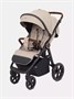 Коляска прогулочная Mowbaby Trail 2025 Beige 1432532723