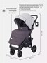 Коляска прогулочная Rant Vega Star soft grey 1817372542