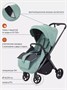 Коляска прогулочная Rant Golf Sage green 147386579