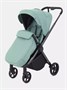 Коляска прогулочная Rant Golf Sage green 147386579
