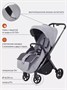 Коляска прогулочная Rant Golf Classic grey 993853266