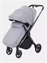 Коляска прогулочная Rant Golf Classic grey 993853266