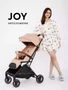Коляска прогулочная Rant Basic Joy 2025 Beige 39827605