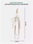 Стульчик для кормления Mowbaby Honey 2024 Beige 567128173