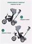 Велосипед трехколесный Mowbaby Eagle Grey 910027188