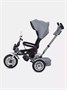 Велосипед трехколесный Mowbaby Eagle Grey 910027188