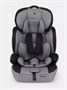 Автокресло Rant Basic Spark 1/2/3 (9-36 кг) Graphite 1192541348