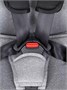 Автокресло Rant Basic Spark 1/2/3 (9-36 кг) Graphite 1192541348