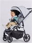 Коляска прогулочная Rant Volt Light grey 1865275004