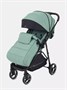 Коляска прогулочная Rant Shift Forest green 539929758