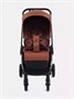 Коляска прогулочная Rant Golf Maroon brown 1380152053