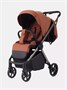 Коляска прогулочная Rant Golf Maroon brown 1380152053