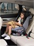 Автокресло Rant Nitro isofix 0/1/2/3 (0-36 кг) Grey/Black 2081451152