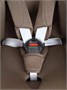 Автокресло Rant Nitro new isofix группа 0/1/2/3 (0-36 кг) Beige 1632679627