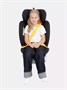Автокресло Rant Drive Isofix 0/1/2/3 (0-36 кг) Black 1518902863