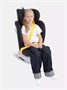 Автокресло Rant Drive Isofix 0/1/2/3 (0-36 кг) Black 1518902863