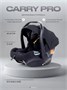 Автокресло Rant Carry Pro (40-87 см) Black 554449945