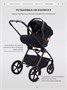 Автокресло Rant Carry Pro (40-87 см) Black 554449945