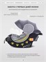 Автокресло Rant Carry Pro (40-87 см) Graphite 1364146267