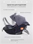 Автокресло Rant Carry Pro (40-87 см) Graphite 1364146267