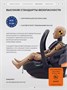 Автокресло Rant Carry Pro (40-87 см) Graphite 1364146267