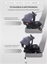 Автокресло Rant Carry Pro (40-87 см) Graphite 1364146267