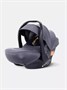 Автокресло Rant Carry Pro (40-87 см) Graphite 1364146267