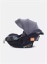 Автокресло Rant Carry Pro (40-87 см) Graphite 1364146267